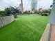 Thảm cỏ giả Green Carpet Roll Tổng hợp Cesped Turf Cỏ nhân tạo nhà cung cấp