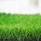 12400 Sân tennis Detex cỏ nhân tạo Vườn cỏ Thảm xanh cho Lanscaping nhà cung cấp