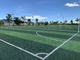 Thảm cỏ bóng đá Sân cỏ nhân tạo Chiều cao 40mm 13000Detex nhà cung cấp