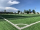 Sân bóng đá nhân tạo kim cương độc đáo Olive Bi Color PE Thành phần nhà cung cấp