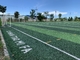 SGS 40mm Cesped Green Football Cỏ nhân tạo Sân bóng cỏ giả nhà cung cấp