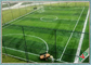 Bảo trì dễ dàng Sân bóng đá nhân tạo, Sân bóng đá cỏ nhân tạo nhà cung cấp