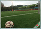 Bóng đá chuyên nghiệp cỏ nhân tạo 12 năm đảm bảo bóng đá cỏ nhân tạo nhà cung cấp