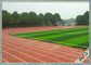 Không có kim loại nặng PP dệt vải bóng đá cỏ nhân tạo 13000 Dtex cho Futsal nhà cung cấp