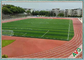 Hình thức tự nhiên Sân bóng đá nhân tạo / Thảm cỏ tổng hợp cho bóng đá nhà cung cấp