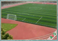 Hình thức tự nhiên Sân bóng đá nhân tạo / Thảm cỏ tổng hợp cho bóng đá nhà cung cấp